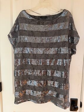 Vertigo Paris Gray Sequin Stripe Lace Dolman Sleeve Top in Size XL